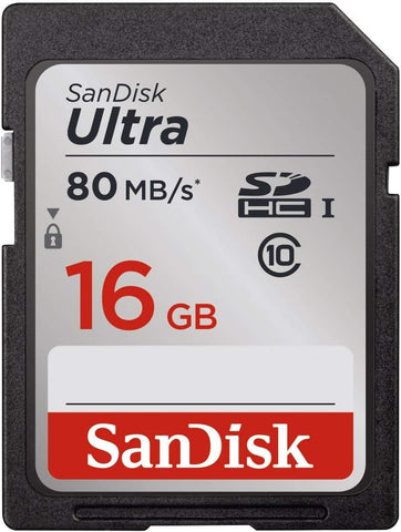 16GB Regular SD Memory card